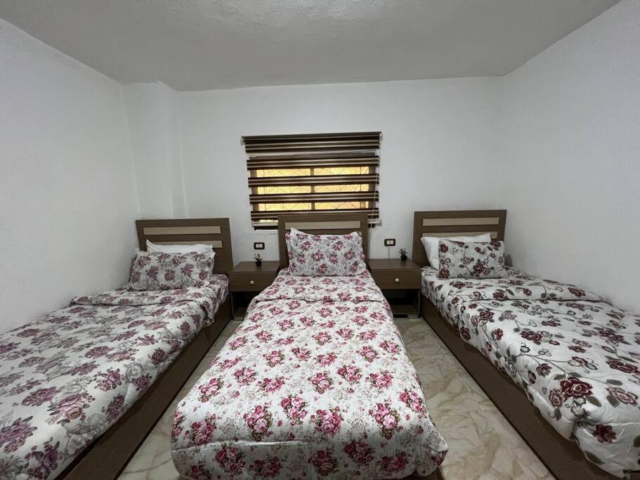 Z3 Apartment Wadi Musa Ngoại thất bức ảnh