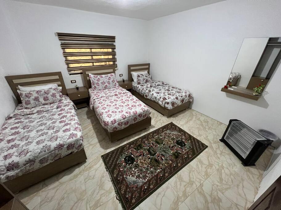 Z3 Apartment Wadi Musa Ngoại thất bức ảnh