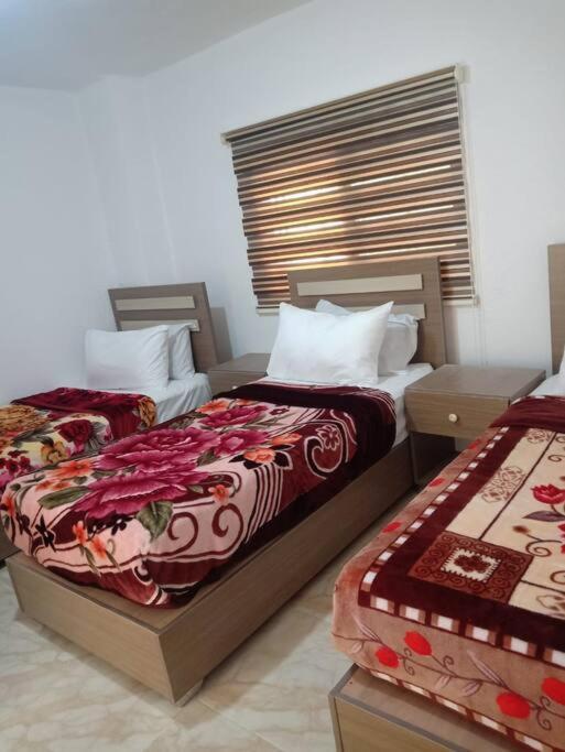 Z3 Apartment Wadi Musa Ngoại thất bức ảnh