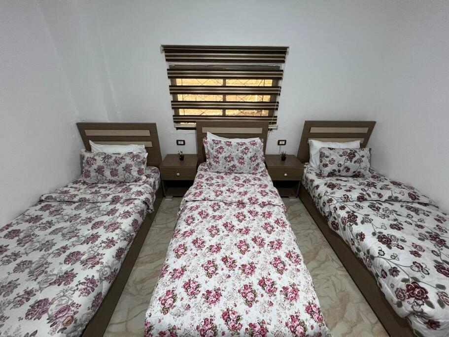 Z3 Apartment Wadi Musa Ngoại thất bức ảnh