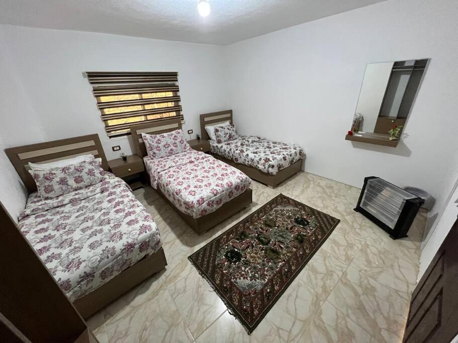 Z3 Apartment Wadi Musa Ngoại thất bức ảnh